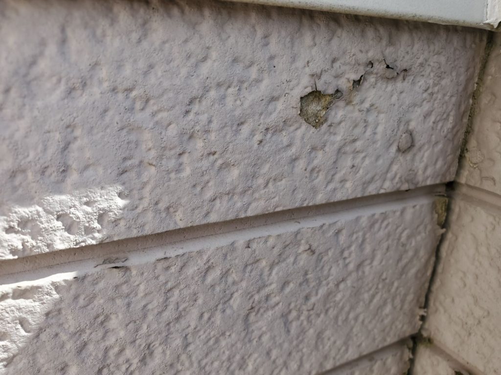 外壁塗膜剥がれています。