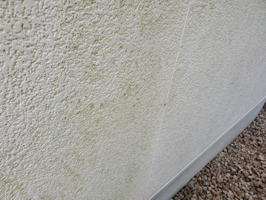 外壁苔が生えています。