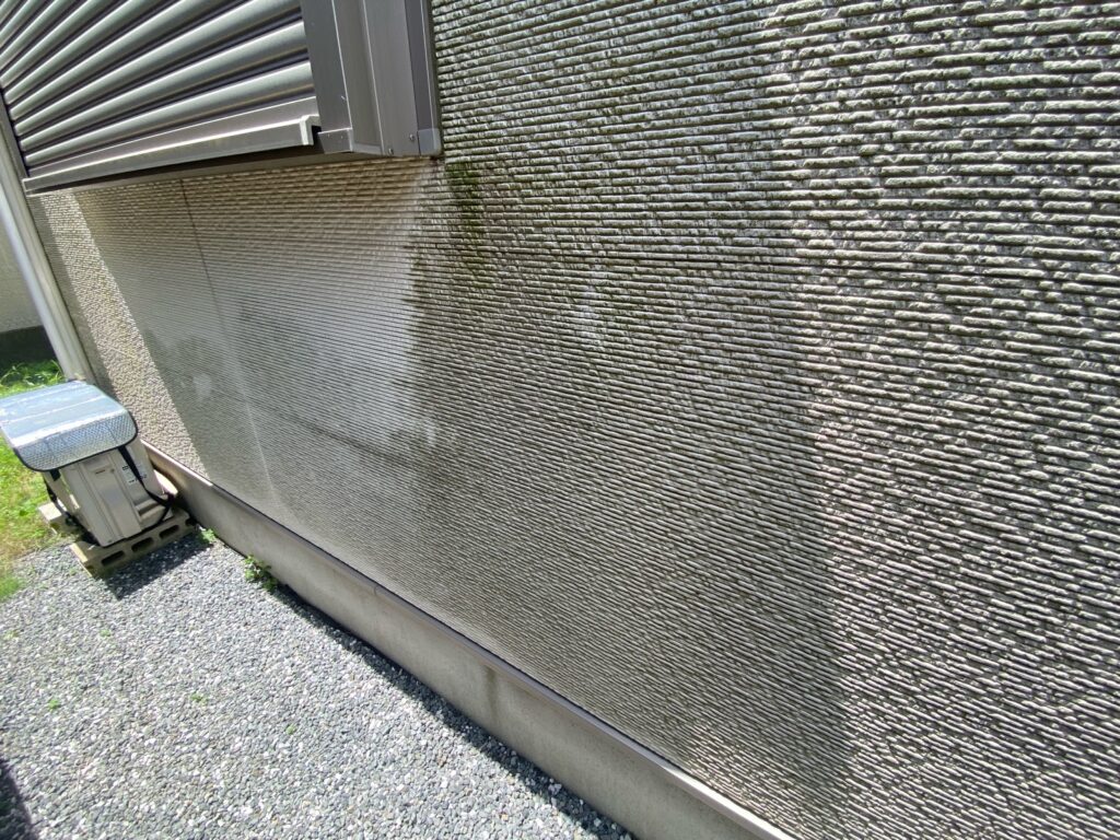 外壁苔が発生しています。