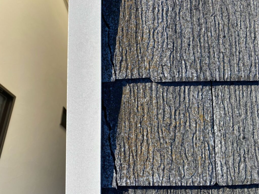 屋根苔が発生しています。