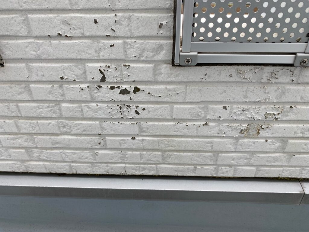 外壁塗膜剥がれています。