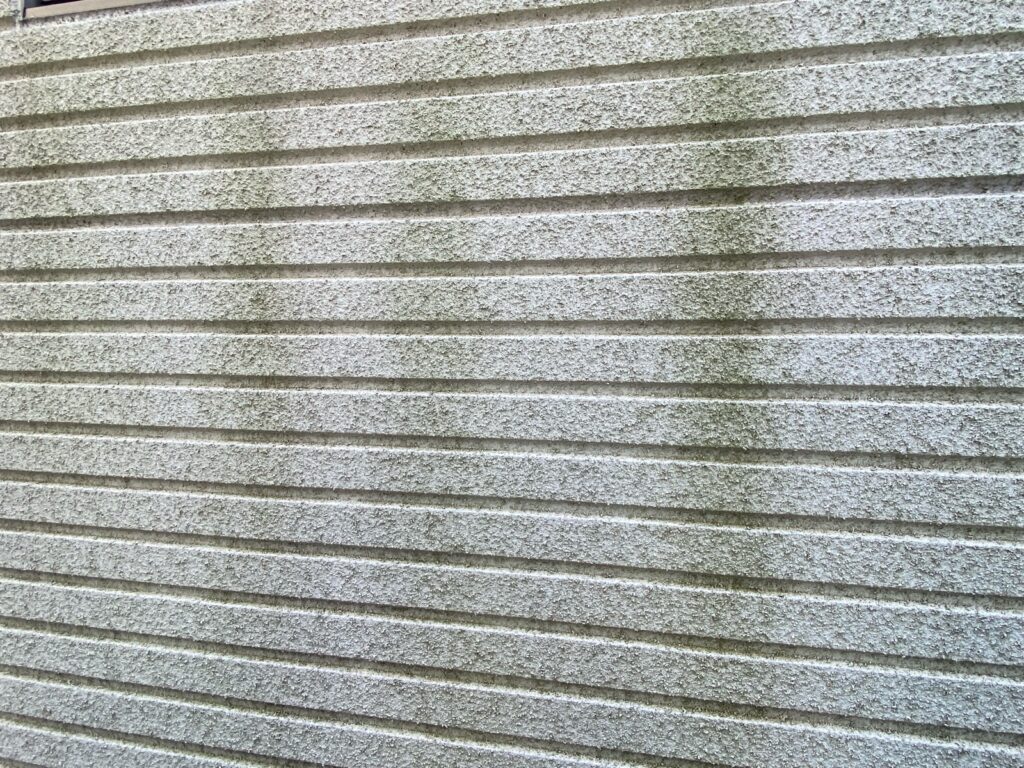 外壁苔が発生しています。